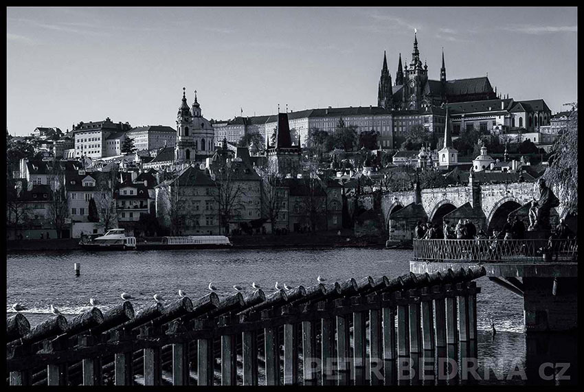 Karlův most, Pražský hrad, holubi, Novotného lávka, Praha